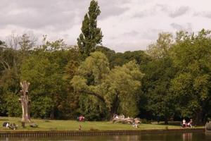 een park met een boom en een waterlichaam bij Trendy Hampstead Flat RH7 in Londen