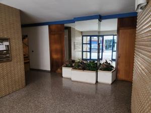 Casetta Lungomare في بيسكارا: غرفة بثلاث نباتات في قدور في مبنى