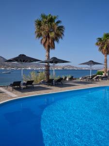 niebieski basen z palmami i parasolami w obiekcie Parian Village Beach Hotel - Adults Only w mieście Parikia