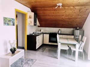 cocina con mesa y sillas en una habitación en Apartment Dolores en Smoljanac