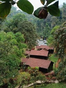 a group of buildings with red roofs and trees at Three Hills Resort Coorg in Madikeri