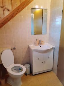 ein Bad mit einem WC und einem Waschbecken in der Unterkunft Apartment Dolores in Smoljanac