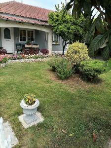 A garden outside The Little Blooming House