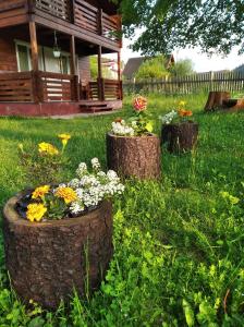 trzy doniczki kwiatowe w trawie przed domem w obiekcie Катерина w mieście Rozhanka Nizhnyaya