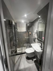ein Bad mit einer Dusche, einem WC und einem Waschbecken in der Unterkunft Violette Mansion Oldcity in Istanbul
