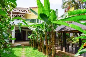 a banana plantation in front of a house at Ga&iuml;a's Garden B&B Abidjan in Abidjan
