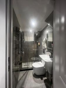 a bathroom with a shower and a toilet and a sink at Violette Mansion Oldcity in Istanbul