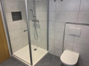 uma casa de banho com um chuveiro e um WC. em Leicht em Münsingen