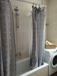 y baño con cortina de ducha y lavadora. en Gästewohnung OC, en Oschersleben