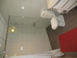 La salle de bains est pourvue d'une douche et de toilettes. dans l'établissement Oaza Inn, à Ohrid