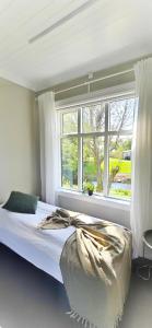 a bed in a bedroom with a large window at Árból Guesthouse in Húsavík