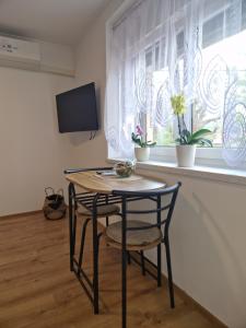 a table and chair in a room with a window at Greg's Rooms in Ilirska Bistrica