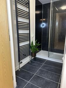 baño con ducha de cristal con maceta en 2 bed city centre executive apartment, en Aberdeen