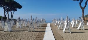 een rij witte stoelen op een zandstrand bij Ibiscus Beach Village in Follonica