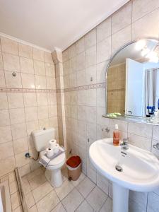 a bathroom with a sink and a toilet at ALEXANDROS B in Nikiana