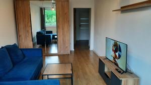 Μια τηλεόραση ή/και κέντρο ψυχαγωγίας στο Apartament Broniewskiego 50m Centrum Nowy Sącz