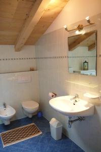 La salle de bains est pourvue d'un lavabo, de toilettes et d'un miroir. dans l'établissement Heinzenhof, à Nova Levante