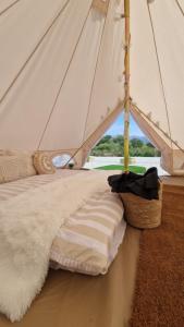 uma cama numa tenda com um cobertor branco em Ben Lettery Hostel em Ballynahinch