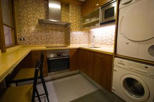 a kitchen with a washer and a sink and a dishwasher at Apartamentos Turísticos Pacios in Santiago de Compostela