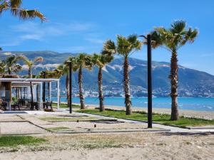 a row of palm trees on a beach with the ocean at Sea Front Villa in Vlorë