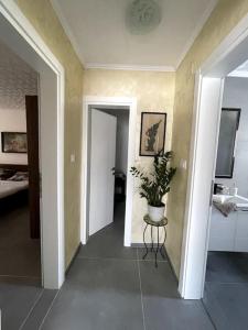 a room with a hallway with a potted plant in it at Pool & River House - Lazara in Danilovgrad