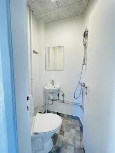 La salle de bains est pourvue de toilettes et d'un lavabo. dans l'établissement aday - Luminous apartment with 2 bedrooms, à Frederikshavn