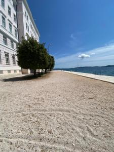 a beach with trees and a building and the ocean at Ada in Zadar