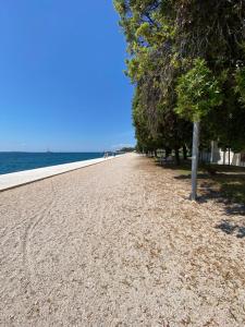 a sandy beach with trees on the side of the water at Ada in Zadar