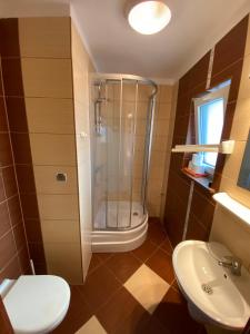 a bathroom with a shower and a toilet and a sink at OW Posejdon in Łazy