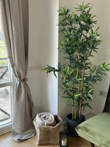 een kamer met 2 potplanten en een raam bij Large 2 Bedroom Marina View Apartment in Hemel Hempstead