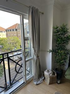 赫默爾亨普斯特德的住宿－Large 2 Bedroom Marina View Apartment，一间设有滑动玻璃门和植物的房间