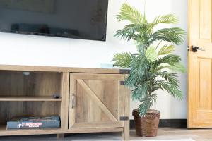 a palm tree sitting next to a wooden entertainment center at A Travelers Nook! A Luxury ADU full of Abundance. in Venice