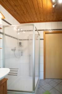 a glass shower in a bathroom with a sink at Ferienhaus Am Wäldchen in Weiskirchen
