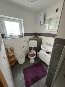 La petite salle de bains est pourvue de toilettes et d'un lavabo. dans l'établissement Ferienwohnung Heidi, à Wahlhausen