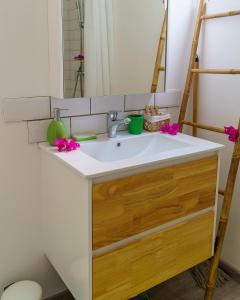 un bancone del bagno con lavandino e specchio di Studio Carambole by Sweety Stay a Schœlcher