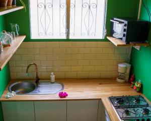 cocina con fregadero, fogones y paredes verdes en Studio Carambole by Sweety Stay, en Schœlcher