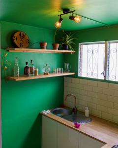 een groene keuken met een wastafel en een groene muur bij Studio Carambole by Sweety Stay in Schœlcher