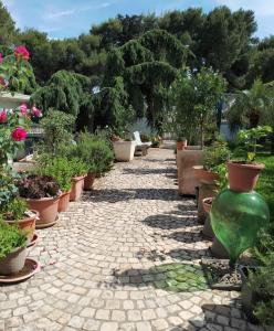 een pad met potplanten en een groene vaas bij B & B Paradise in Melendugno
