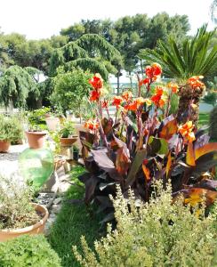 een tuin met bloemen en planten in potten bij B & B Paradise in Melendugno