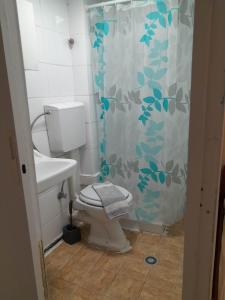 La salle de bains est pourvue de toilettes et d'un rideau de douche. dans l'établissement Ikaros, au Pirée