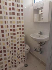 La salle de bains est pourvue de toilettes et d'un lavabo. dans l'établissement Ikaros, au Pirée