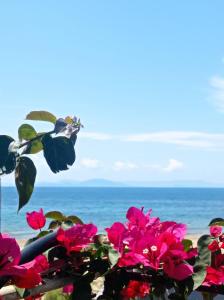 um ramo de flores cor-de-rosa com o oceano ao fundo em Athanasias House Pyrgi em Áyios Ilías