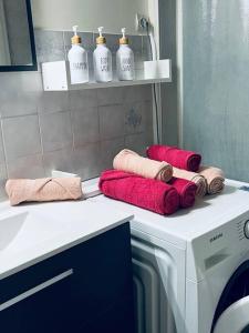 łazienka z pralką i ręcznikami na ladzie w obiekcie Grand T2 renové, plein centre, 62 m² w mieście Villard-de-Lans