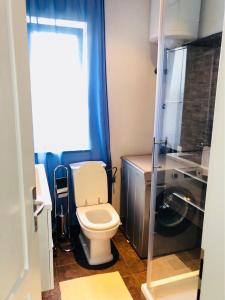 a small bathroom with a toilet and a shower at Guest House Jadro in Rovinj