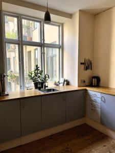 コペンハーゲンにあるApartmentInCopenhagen Apartment 1279のキッチン(シンク付)、窓