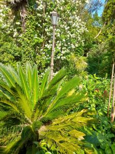 a street light in a garden with a palm tree at viarhona in Montélimar +2 photos