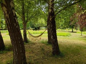 Photo de la galerie de l'établissement Couleur Jardin, à Plouha
