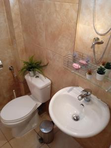 a bathroom with a toilet and a sink at Popi' s apartment 50 metres from the sea! in Sozopoli