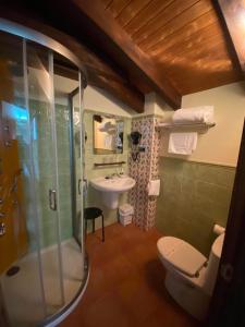 a bathroom with a shower and a toilet and a sink at Hotel rural Monasterio de Ara Mada in Santa Colomba de las Arrimadas