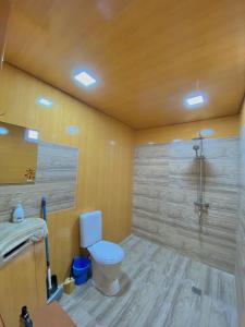 a bathroom with a toilet and a shower at Tsatʼer Guest House in Tsatʼer